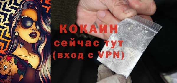 соль ск Горнозаводск