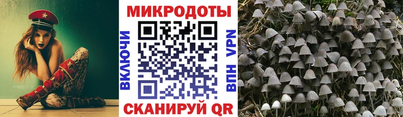 Псилоцибиновые грибы MAGIC MUSHROOMS  Яранск 